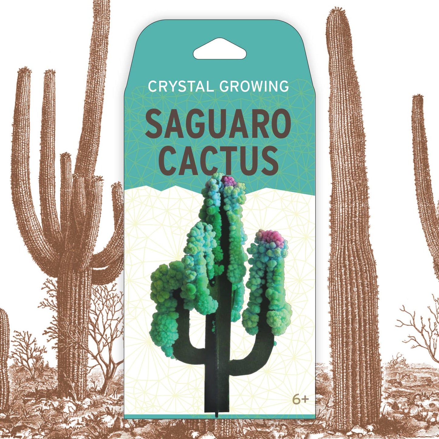 CRYSTAL GROWING SAGUARO CACTUS