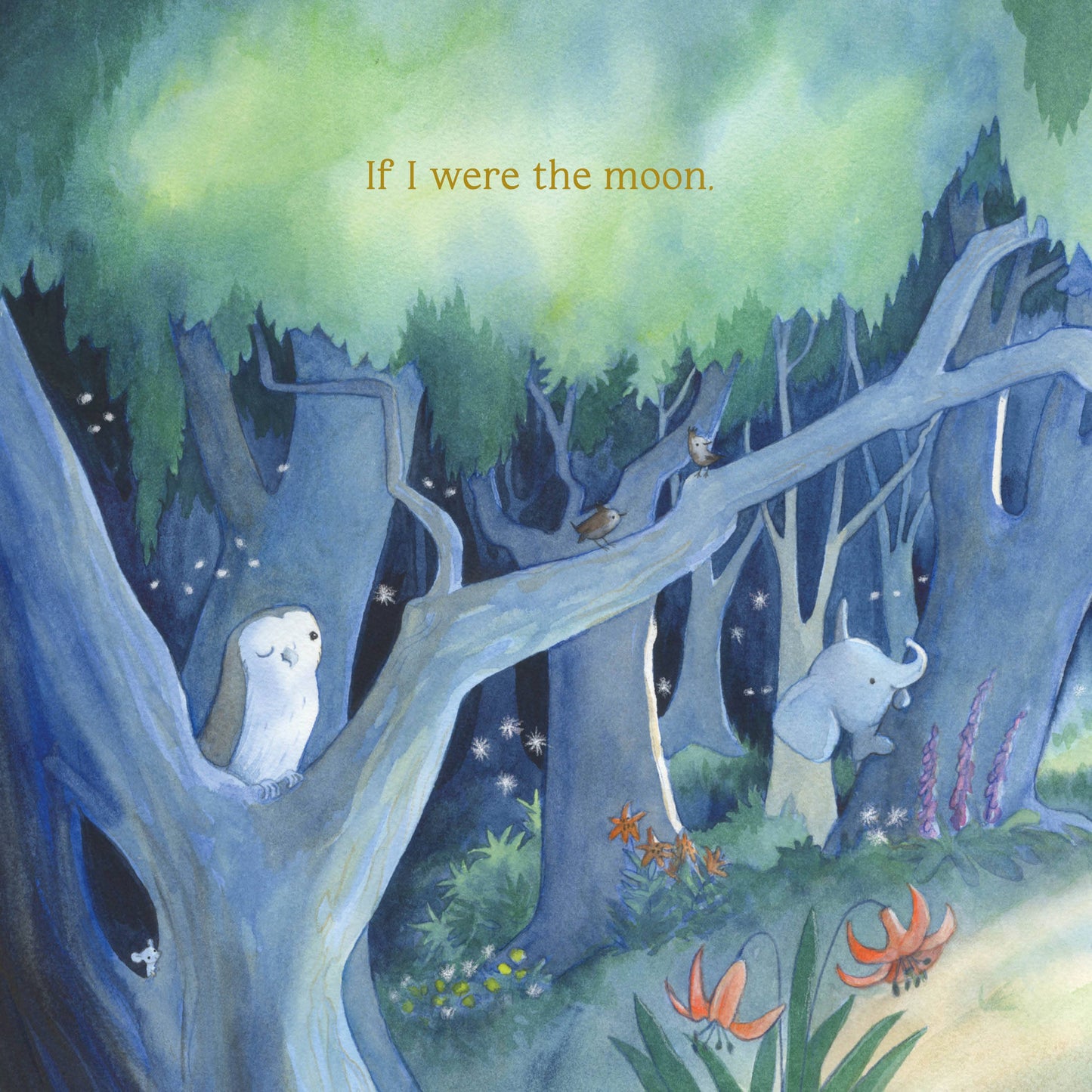 If I Were the Moon