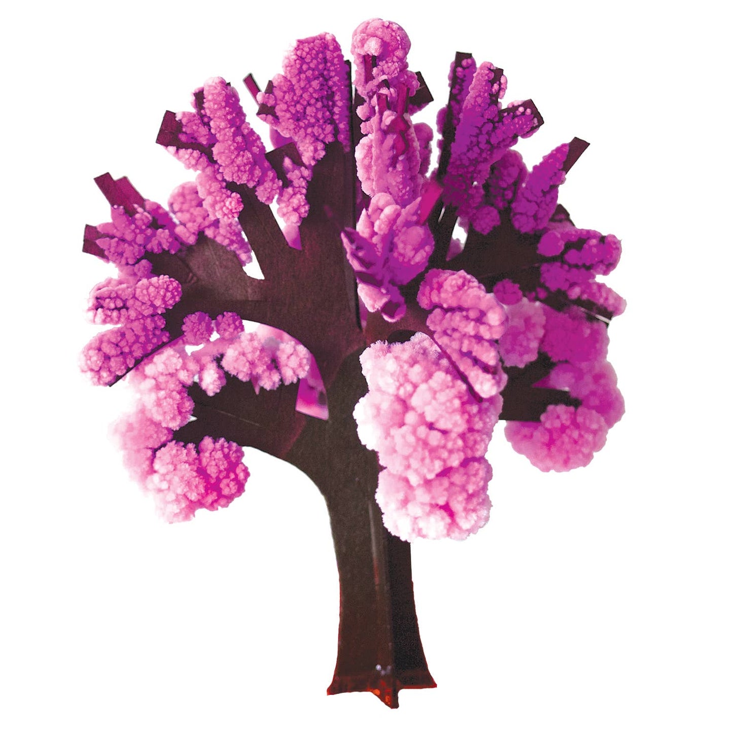 Crystal Growing Cherry Tree | Craft Kit Science Kit