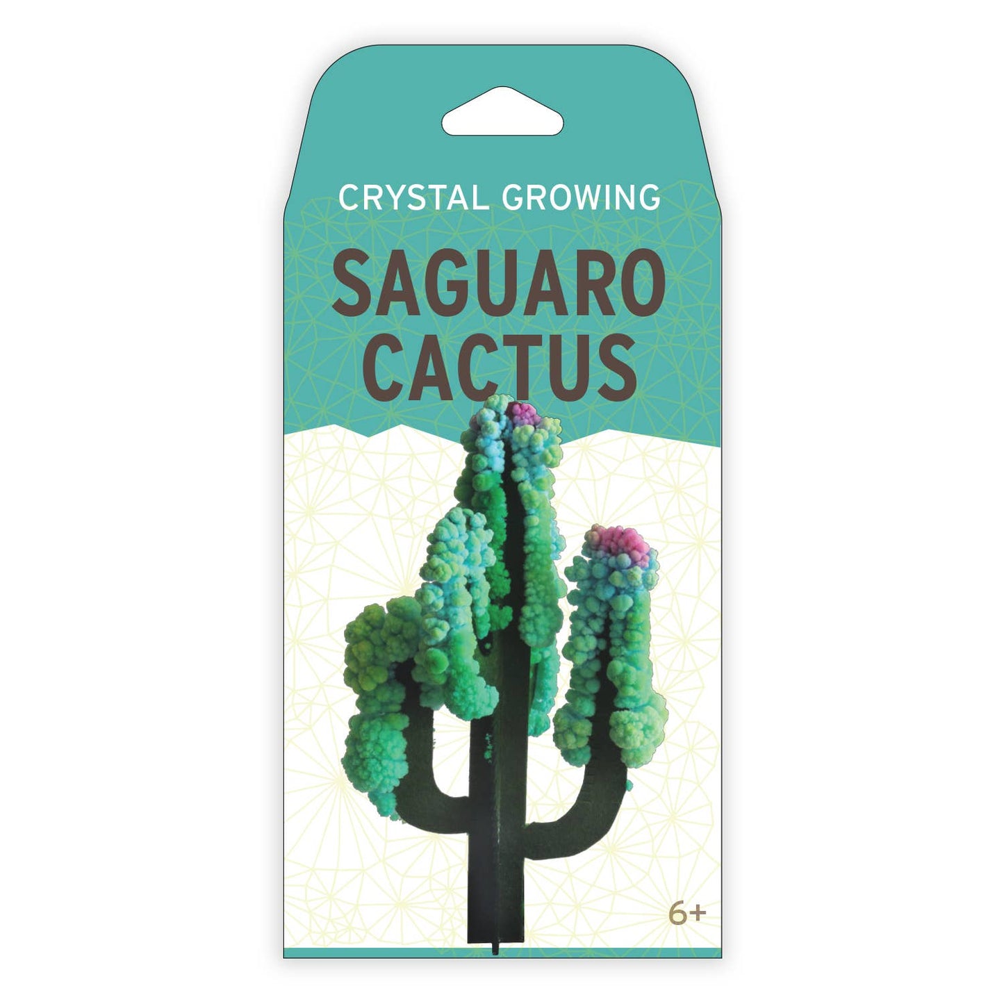 CRYSTAL GROWING SAGUARO CACTUS