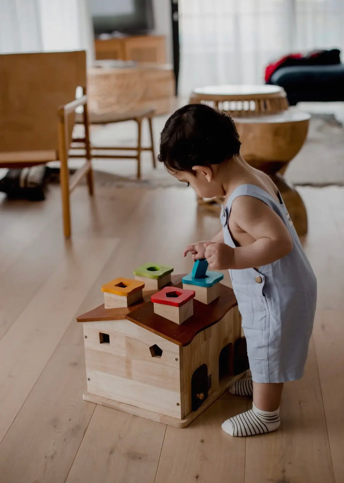 Sorting Cottage & Play House for Toddler