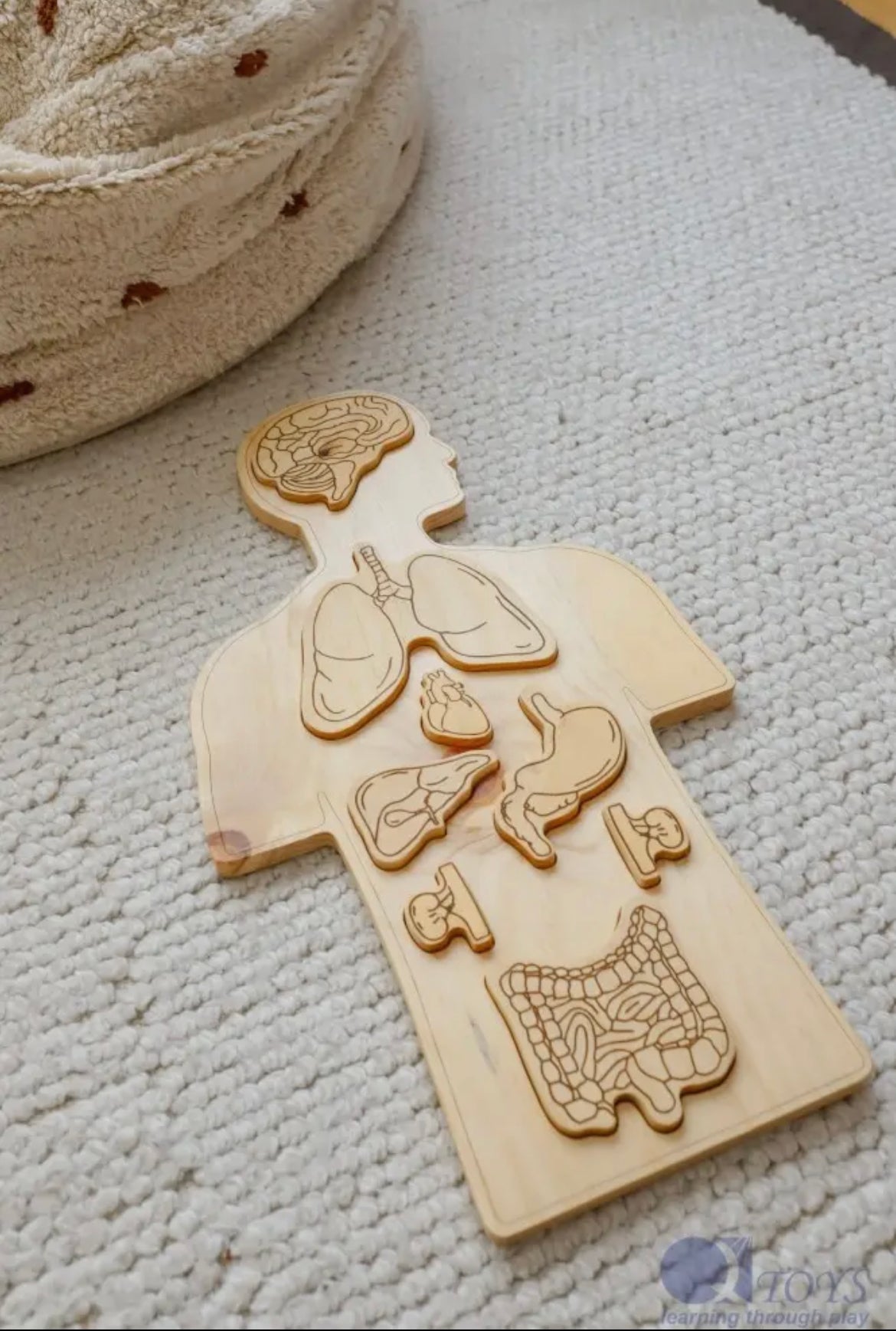 Anatomy Adventure: Wooden Puzzle for Young Explorers