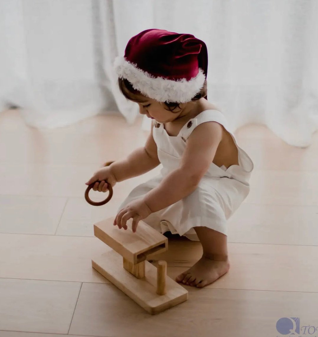 Montessori Rings Activity : Object Permanence and Vertical Activity