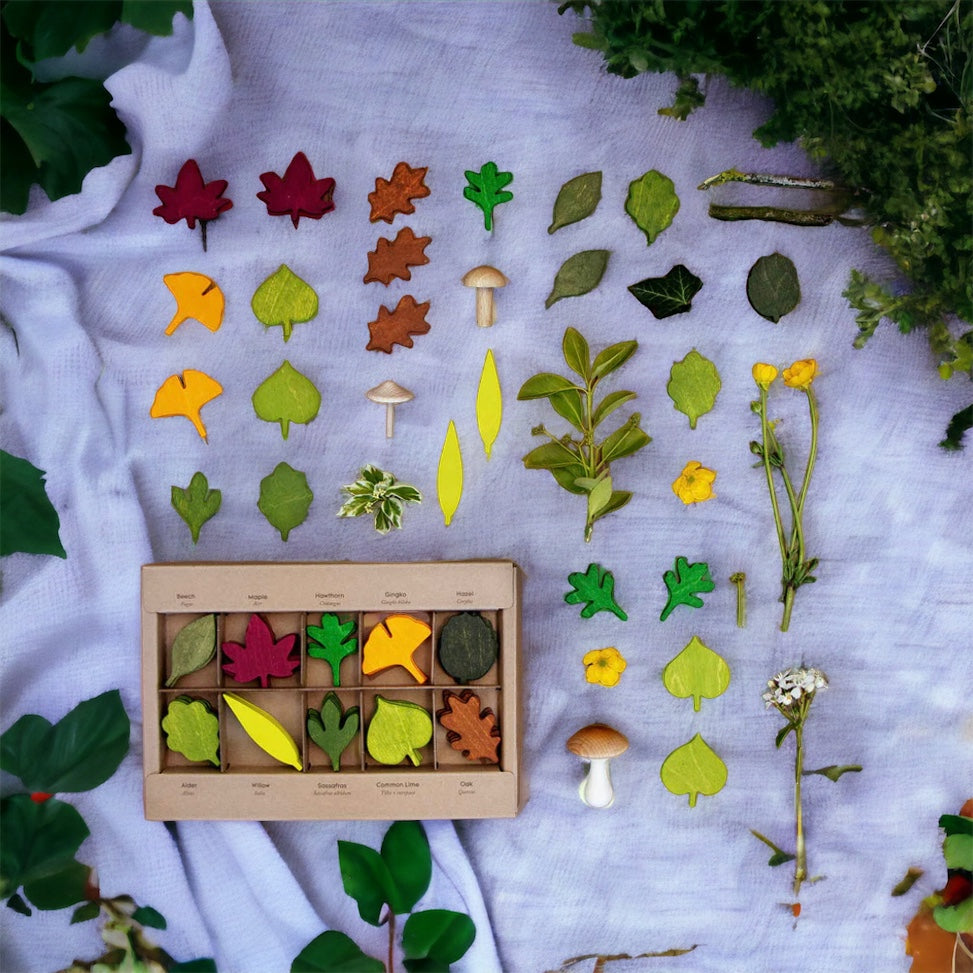 Wooden Woodland Leaves, Montessori Activities