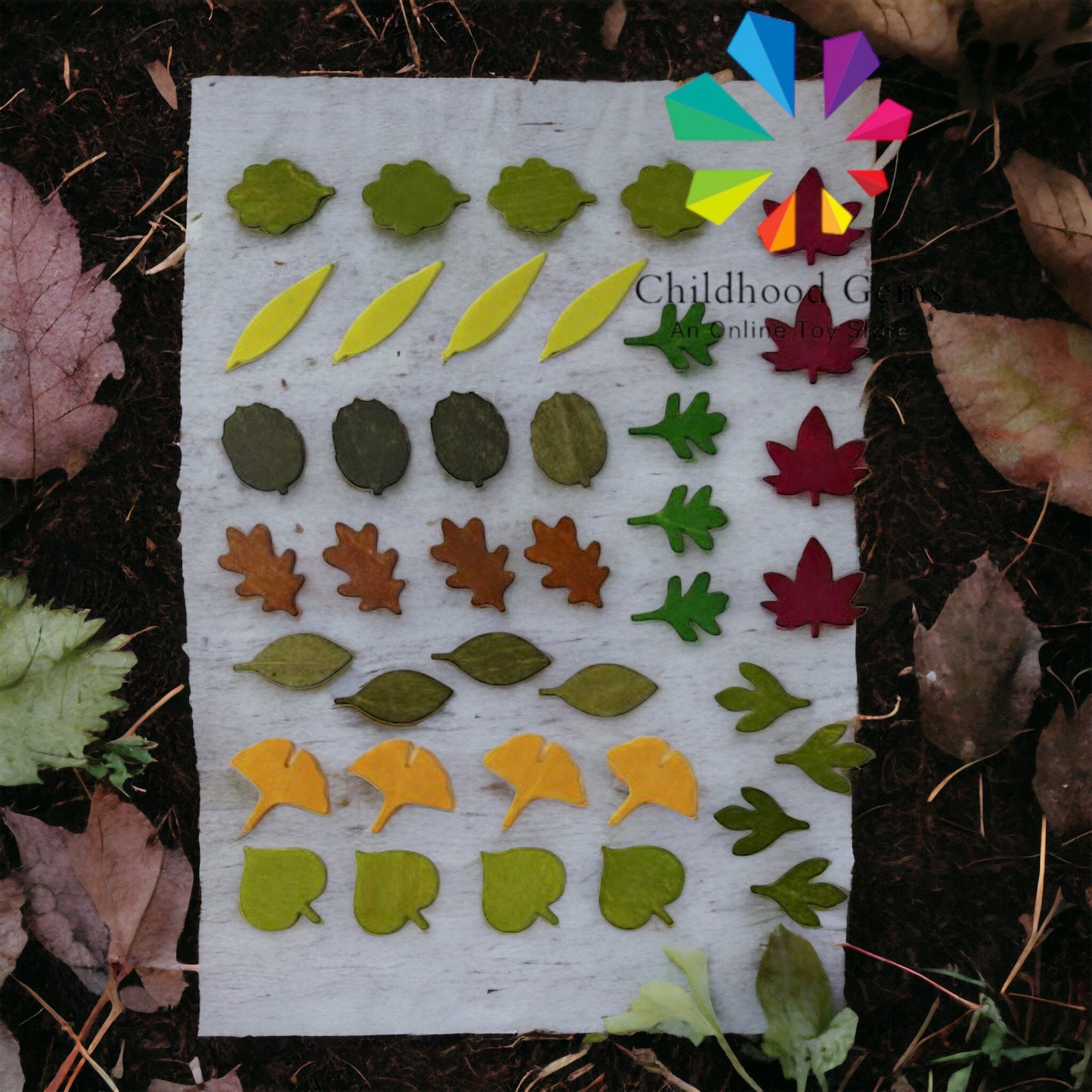 Wooden Woodland Leaves, Montessori Activities