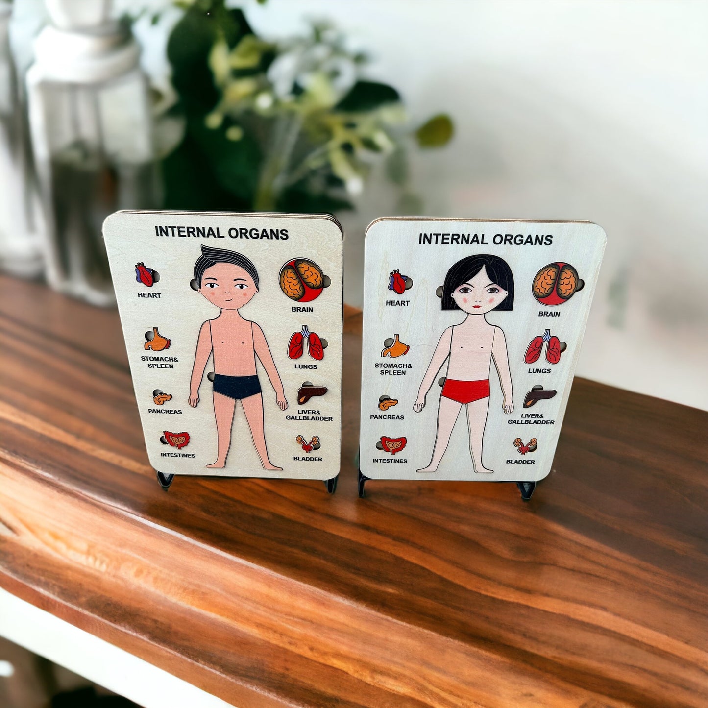 Wooden Human Body Puzzle for Preschoolers