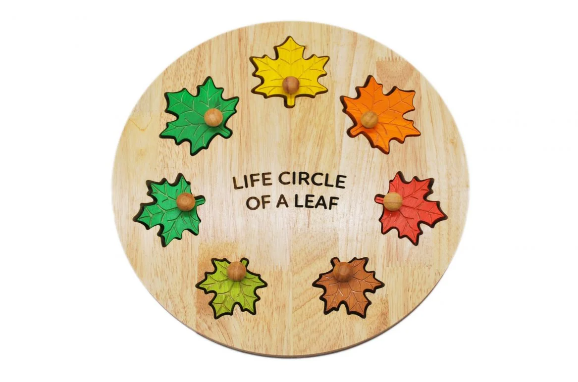 Seasonal Splendor: Leaf Circle of Life Puzzle for Young Explorers