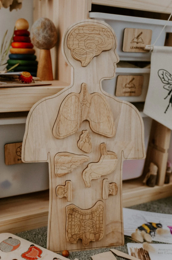 Anatomy Adventure: Wooden Puzzle for Young Explorers