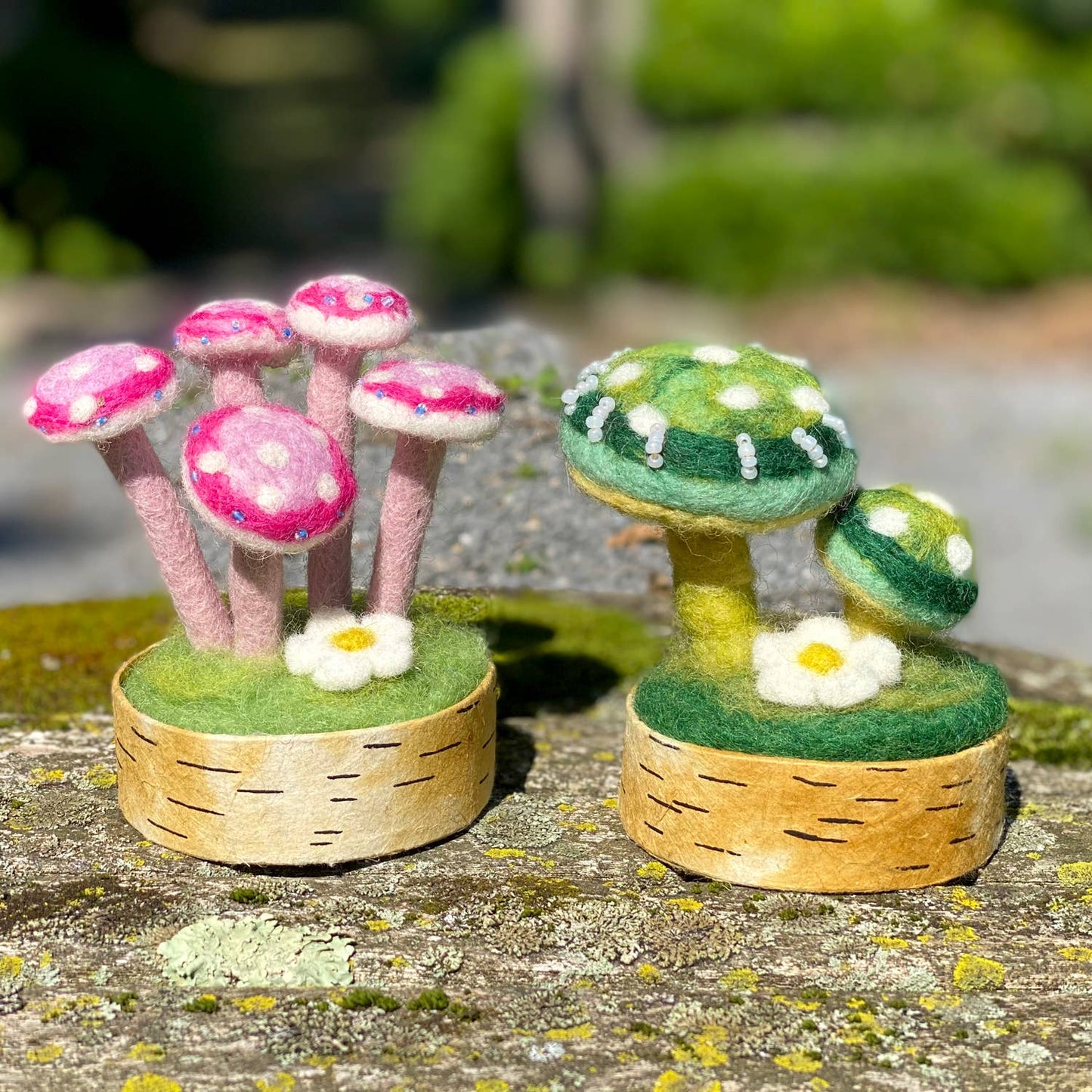 Green Parrot Woodland Mushroom