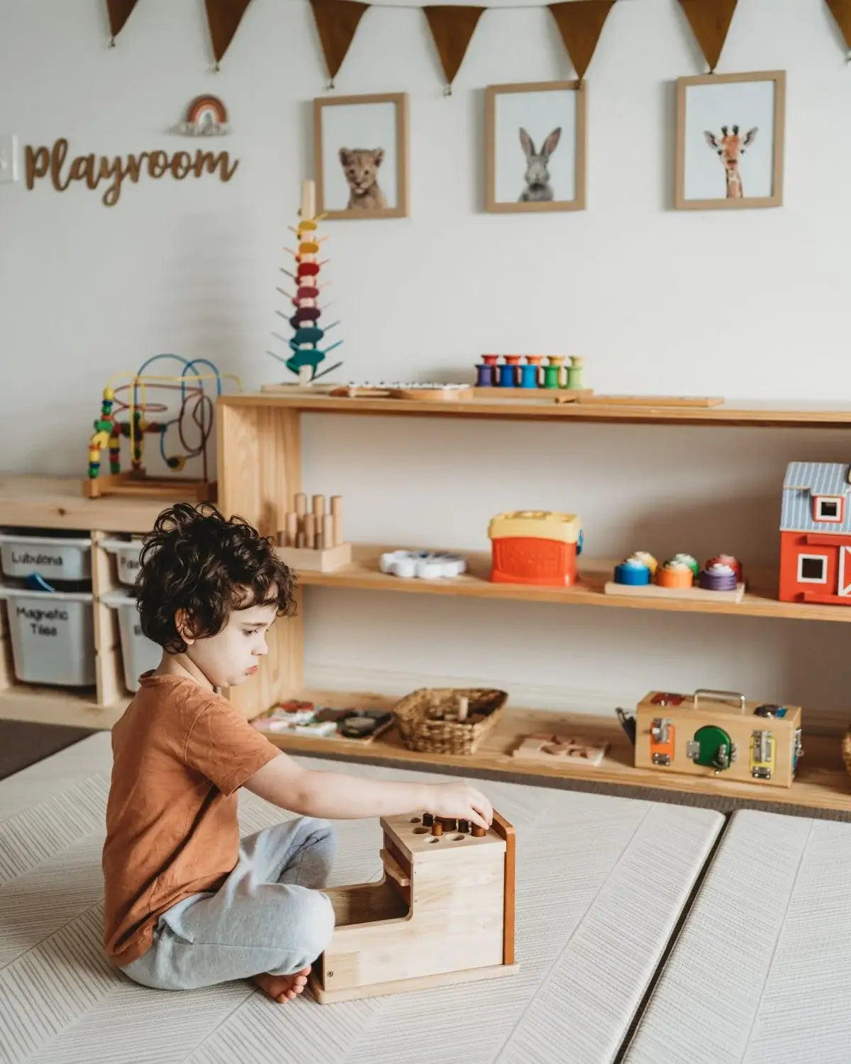 Montessori LARGE Shape and Size Sorting Box