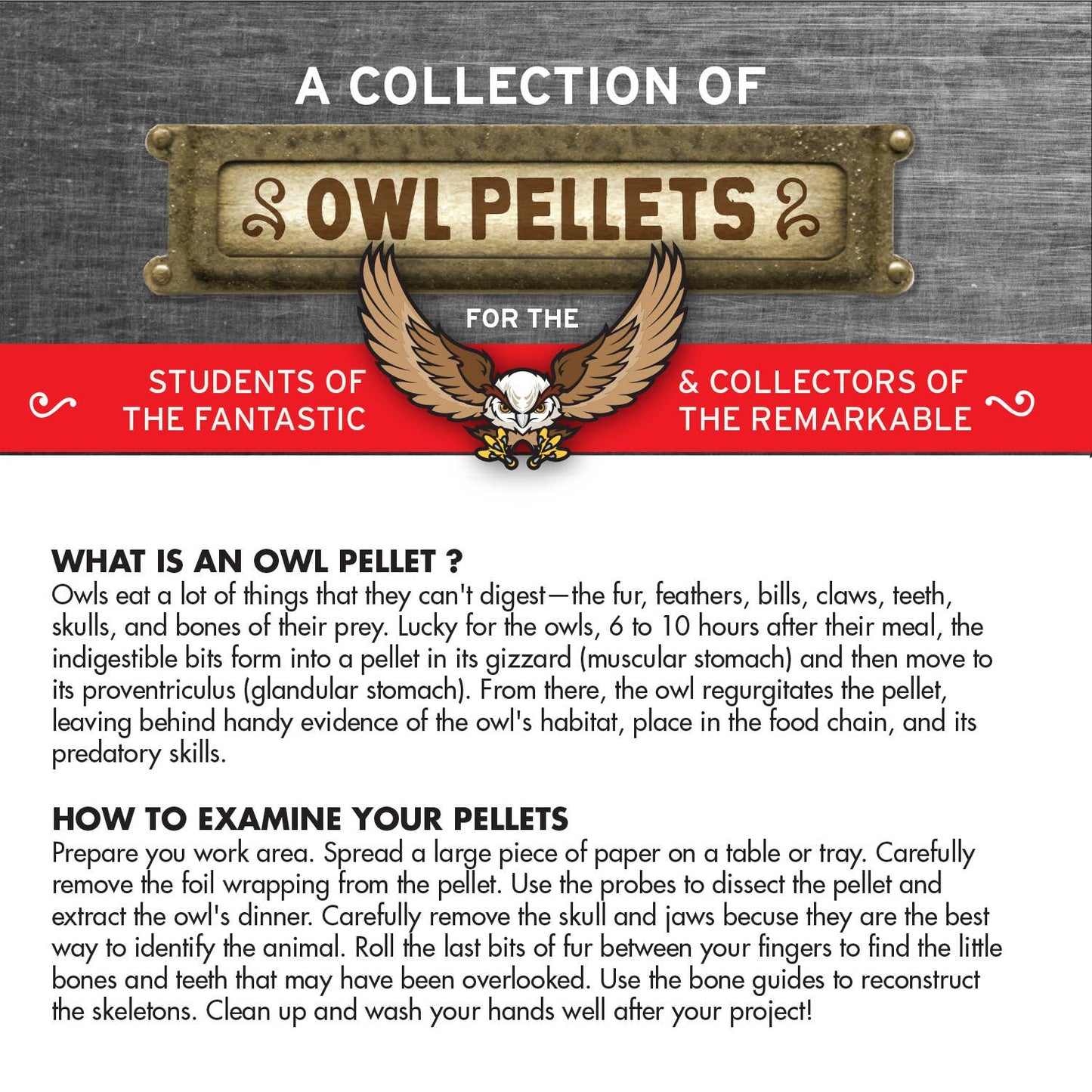 Copernicus Toys - Cabinet of Owl Pellets | Dissection Kit Science Demo