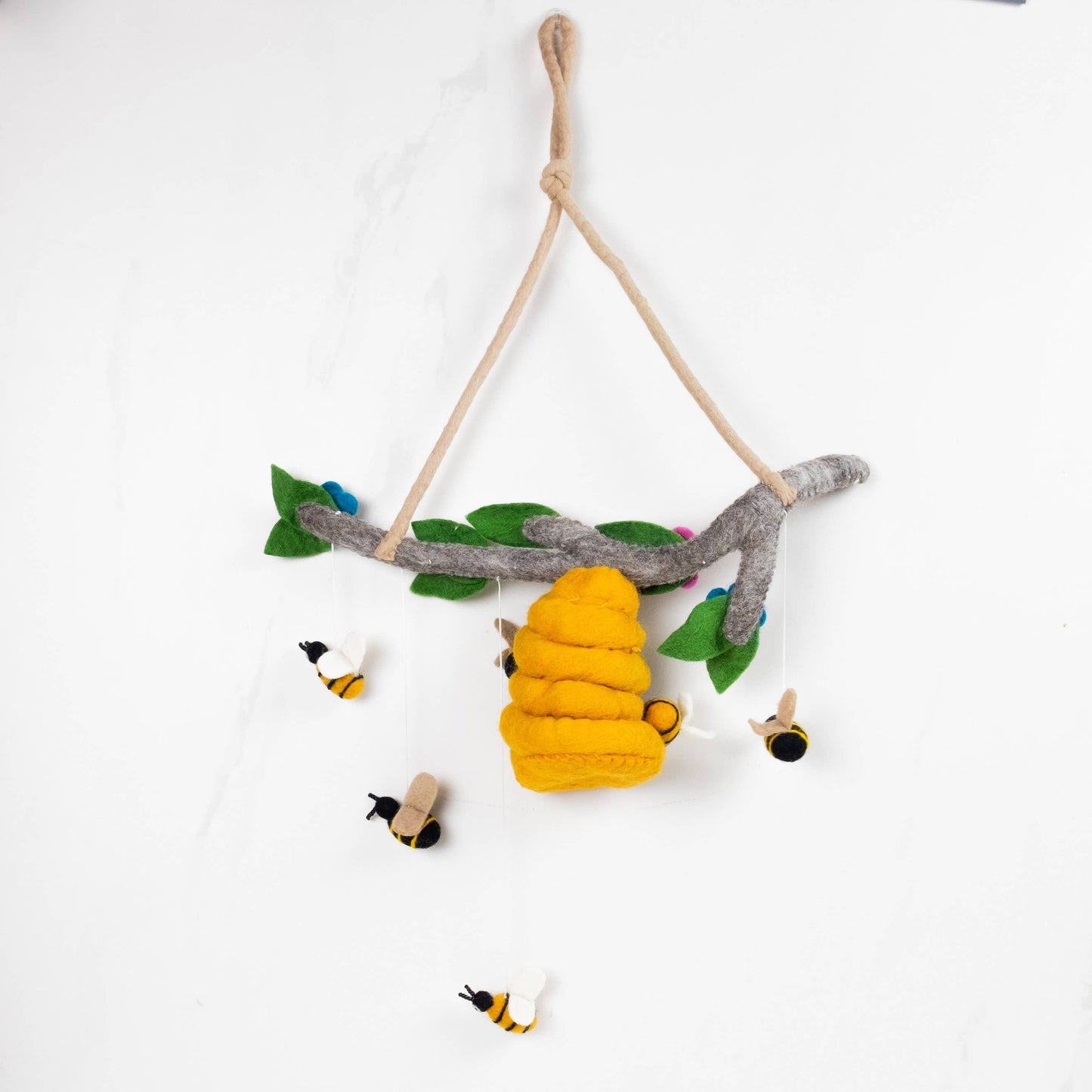 Bee Hive and Honey Bee