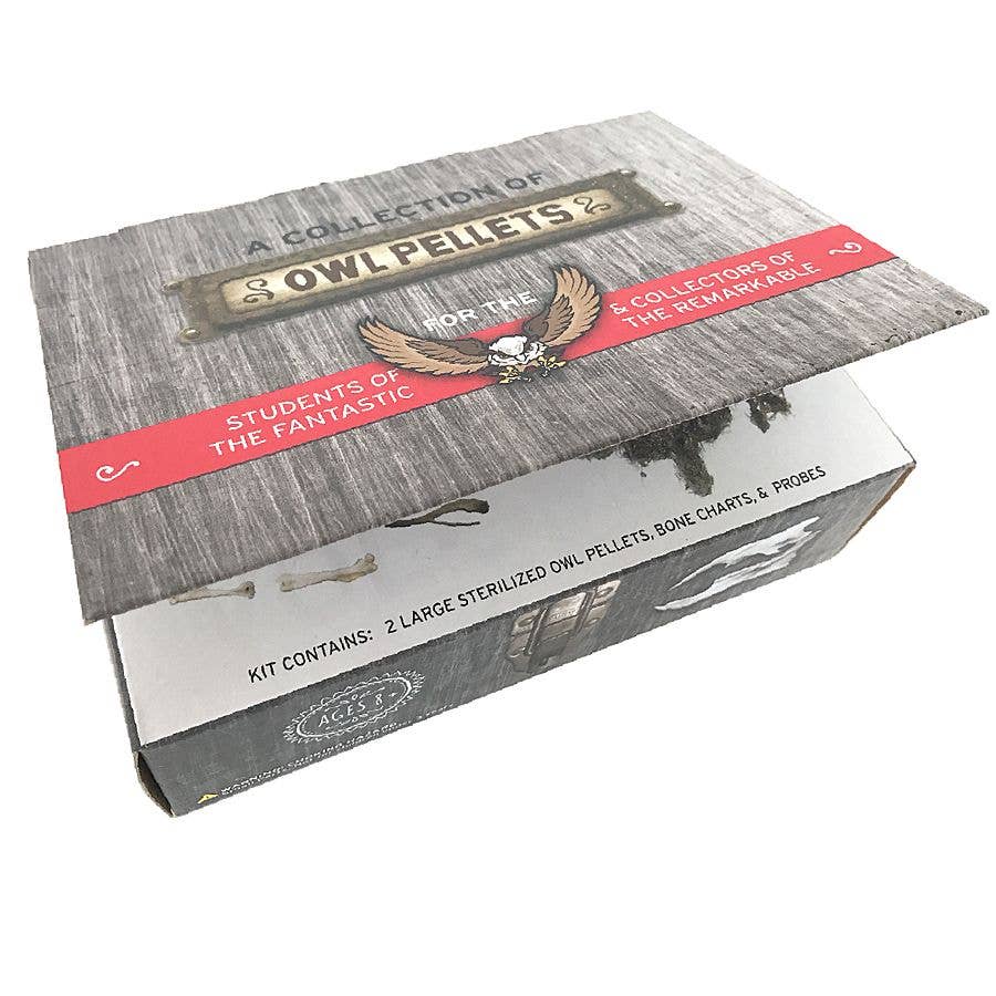 Copernicus Toys - Cabinet of Owl Pellets | Dissection Kit Science Demo