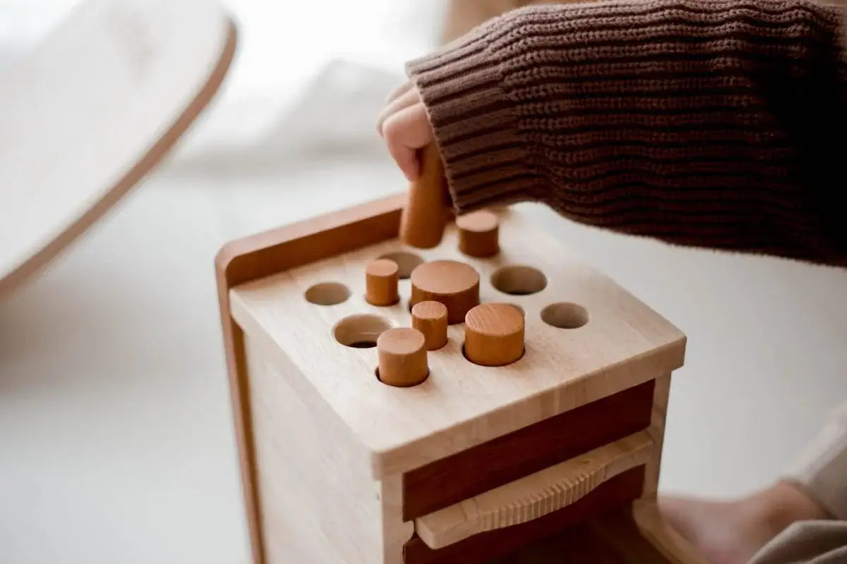 Montessori LARGE Shape and Size Sorting Box