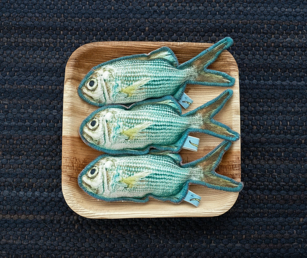 Meet in the City, Fish
