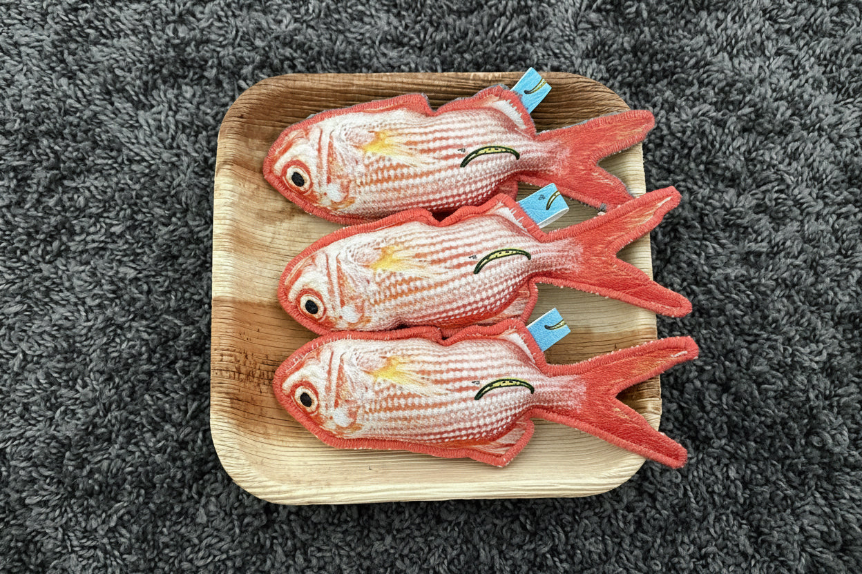 Meet in the City, Fish