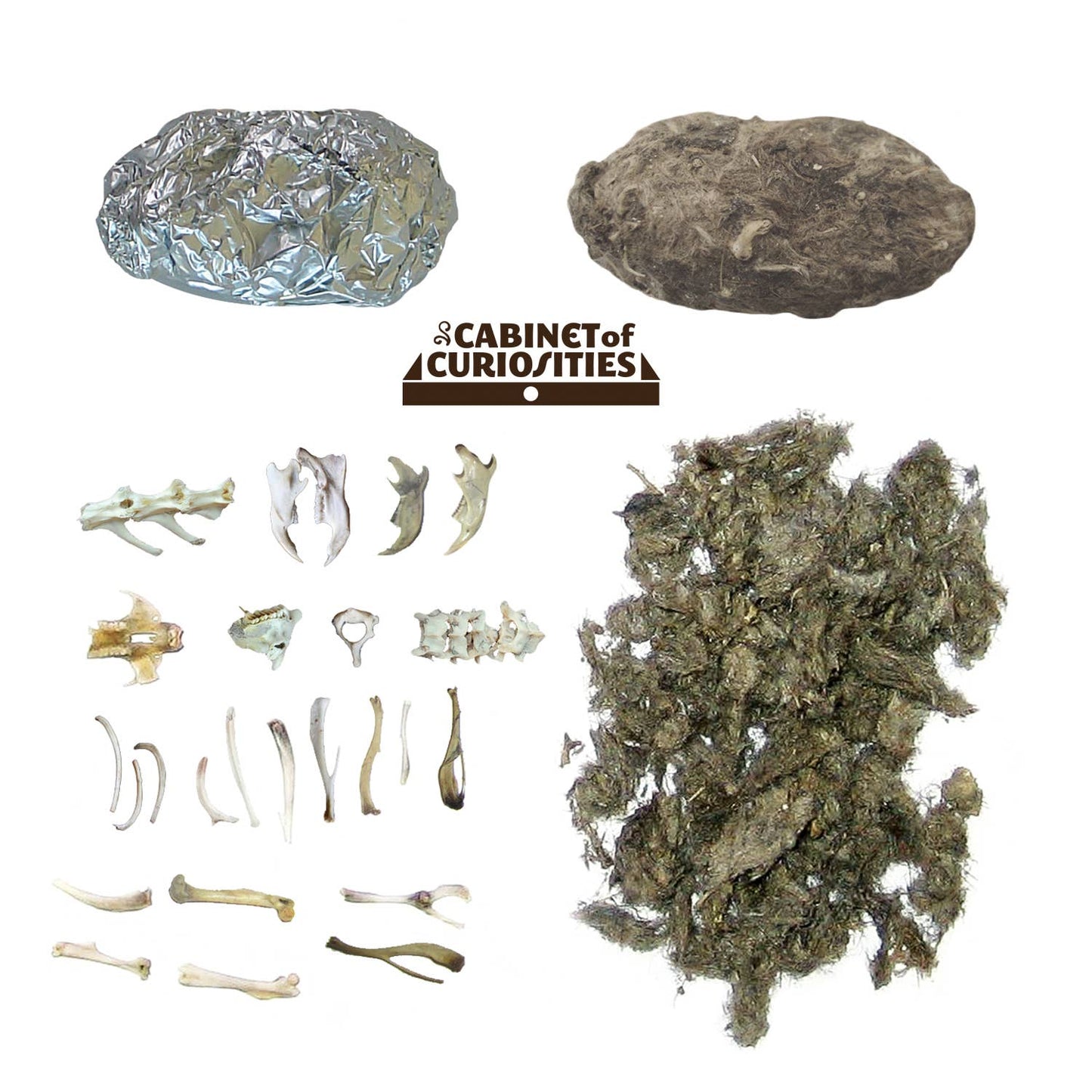 Copernicus Toys - Cabinet of Owl Pellets | Dissection Kit Science Demo