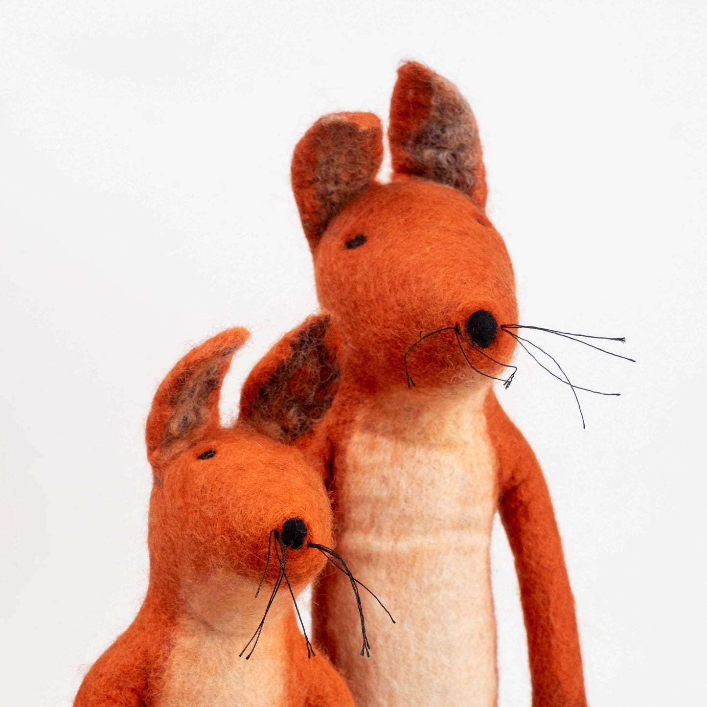 Fox - Small