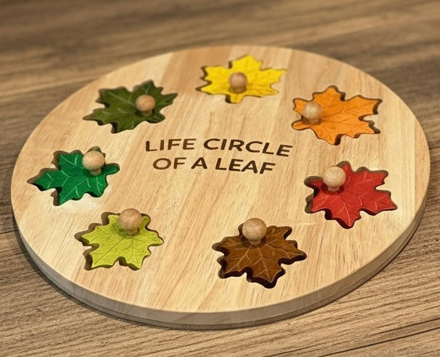 Seasonal Splendor: Leaf Circle of Life Puzzle for Young Explorers