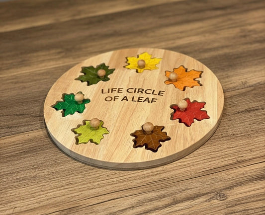 Seasonal Splendor: Leaf Circle of Life Puzzle for Young Explorers