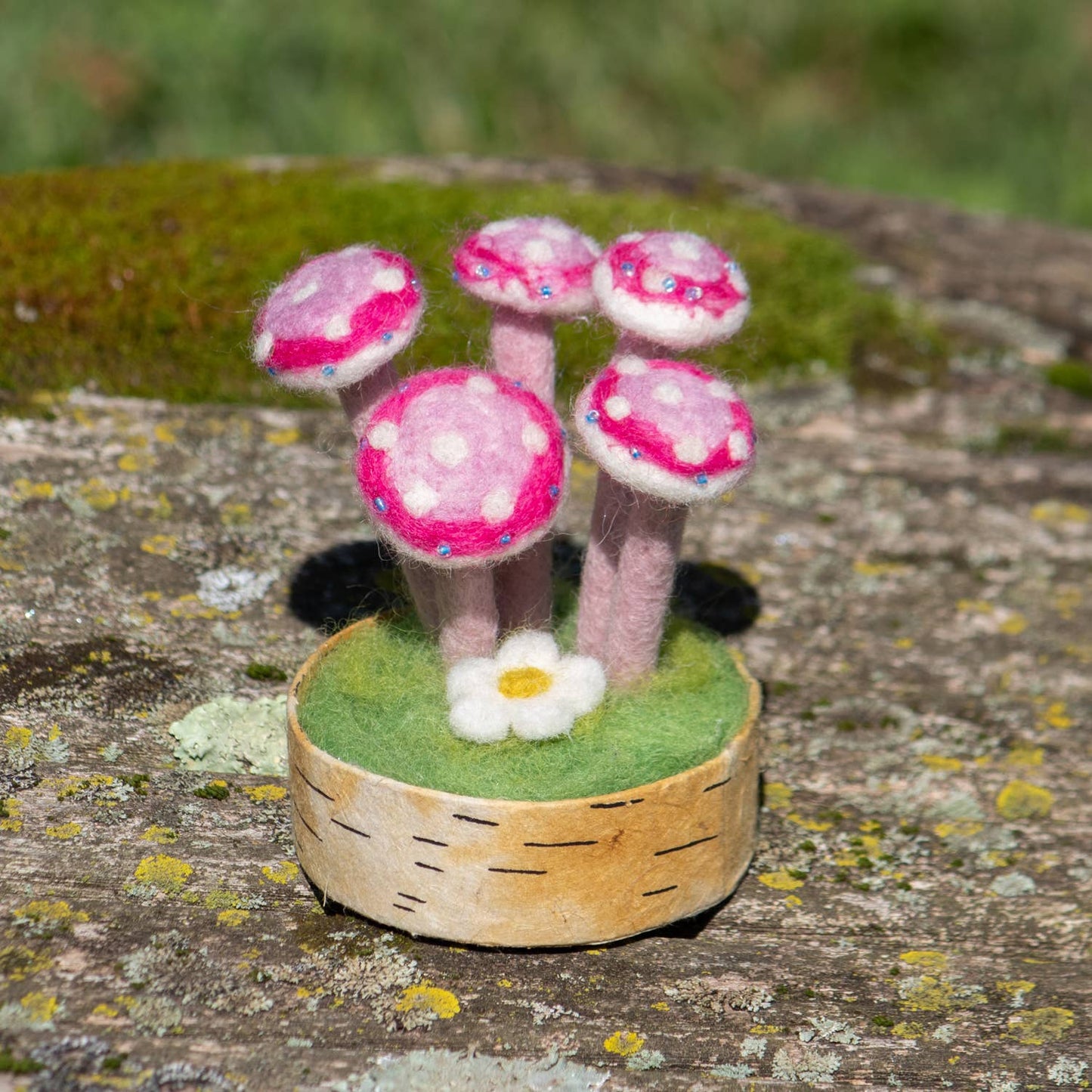 Pink Lady Woodland Mushroom
