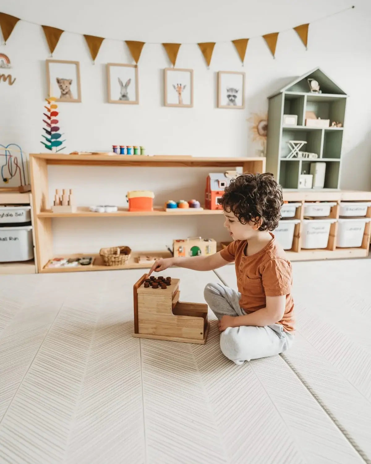 Montessori LARGE Shape and Size Sorting Box