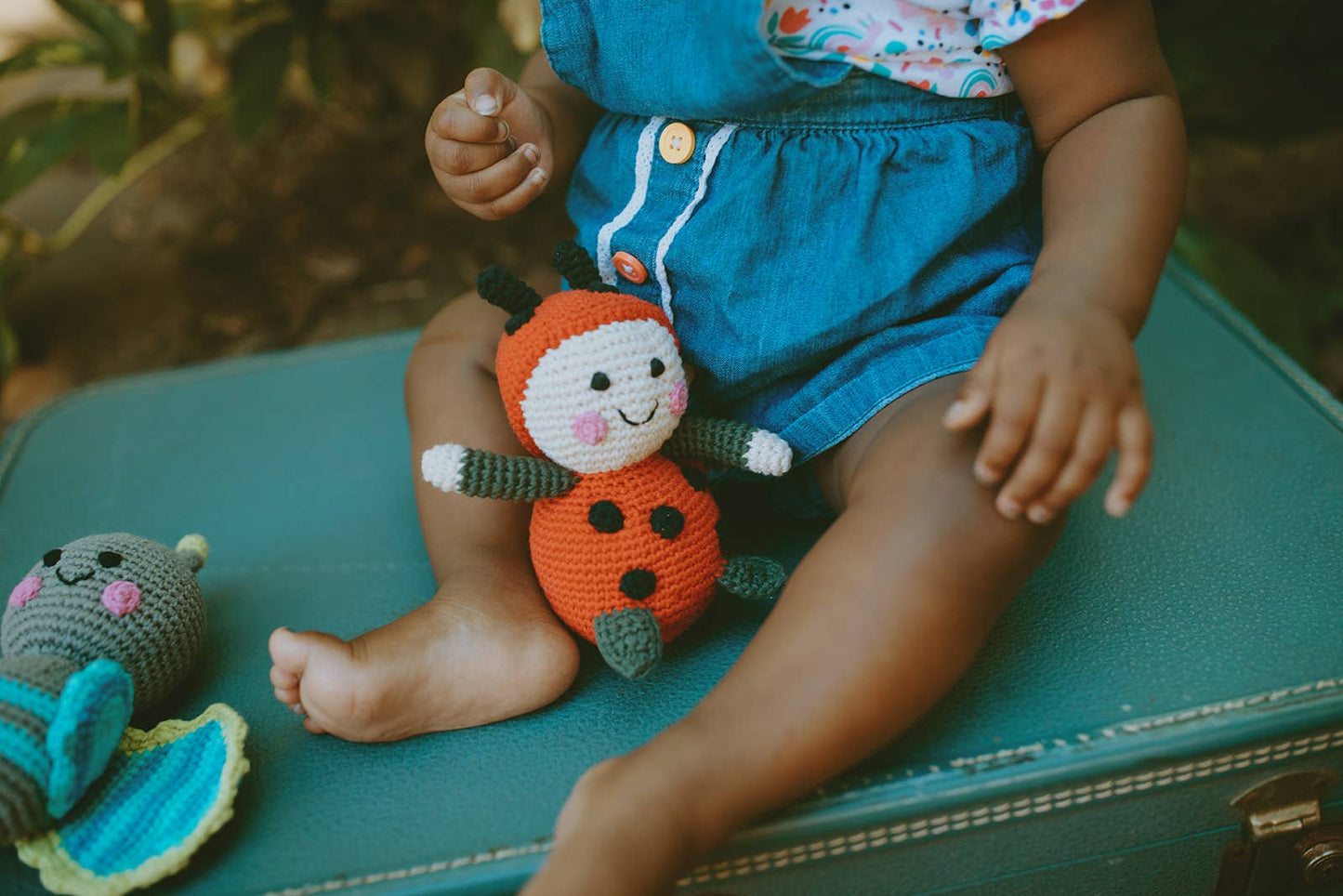 Garden Toy Bug - Lady Bug Rattle