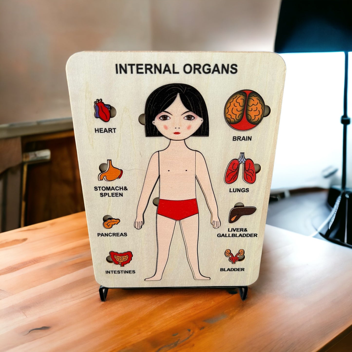 Wooden Human Body Puzzle for Preschoolers