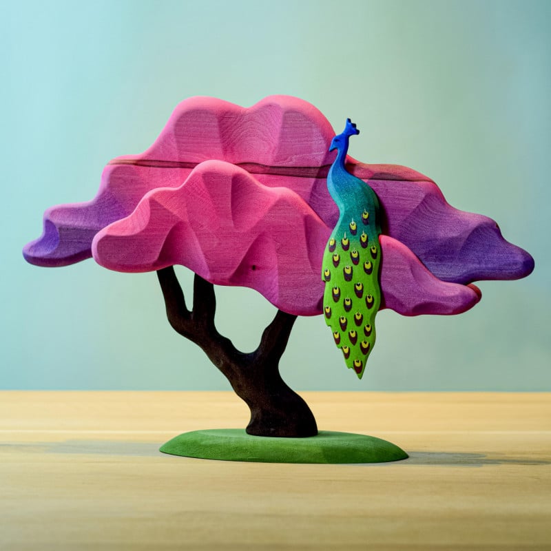 Bumbu Toy Japanese Maple Tree