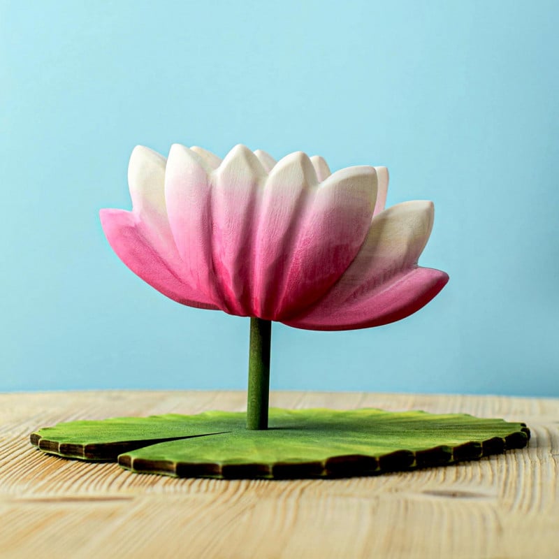 Bumbu Toy Lotus Flower