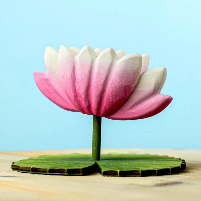 Bumbu Toy Lotus Flower