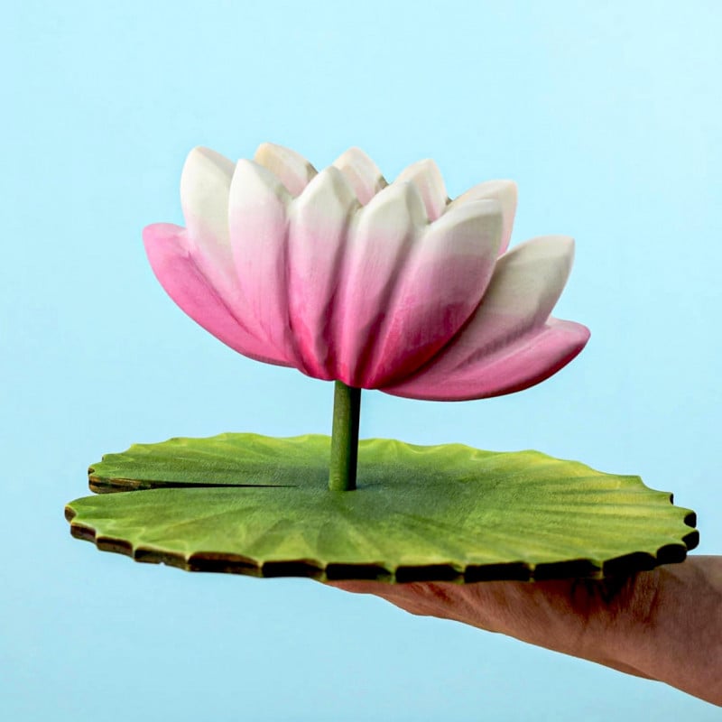 Bumbu Toy Lotus Flower