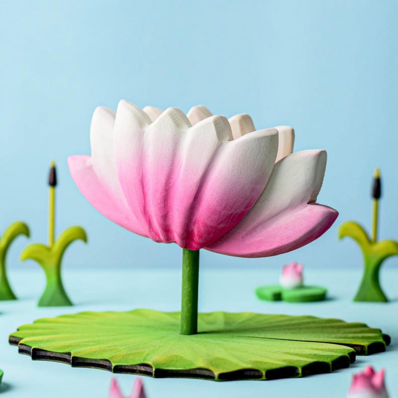 Bumbu Toy Lotus Flower