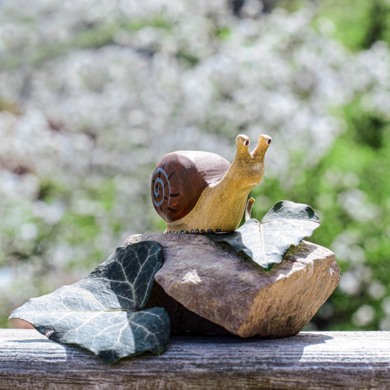 Bumbu Toy Snail