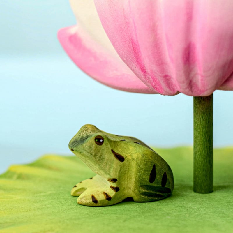 Bumbu Toy Frog