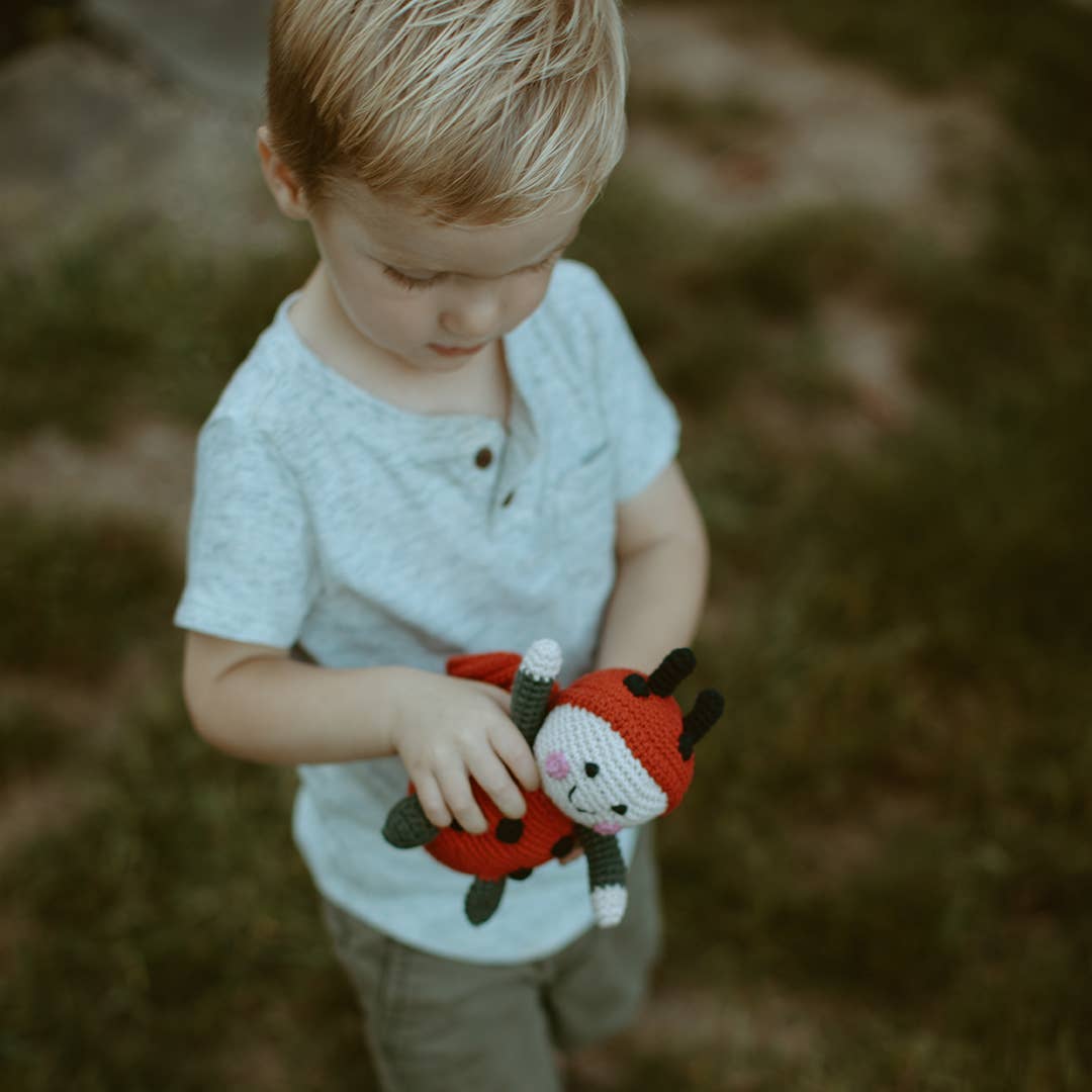 Garden Toy Bug - Lady Bug Rattle