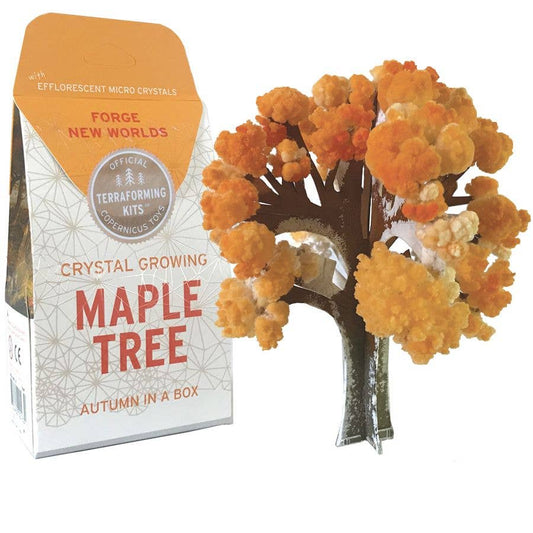 CRYSTAL GROWING MAPLE TREE