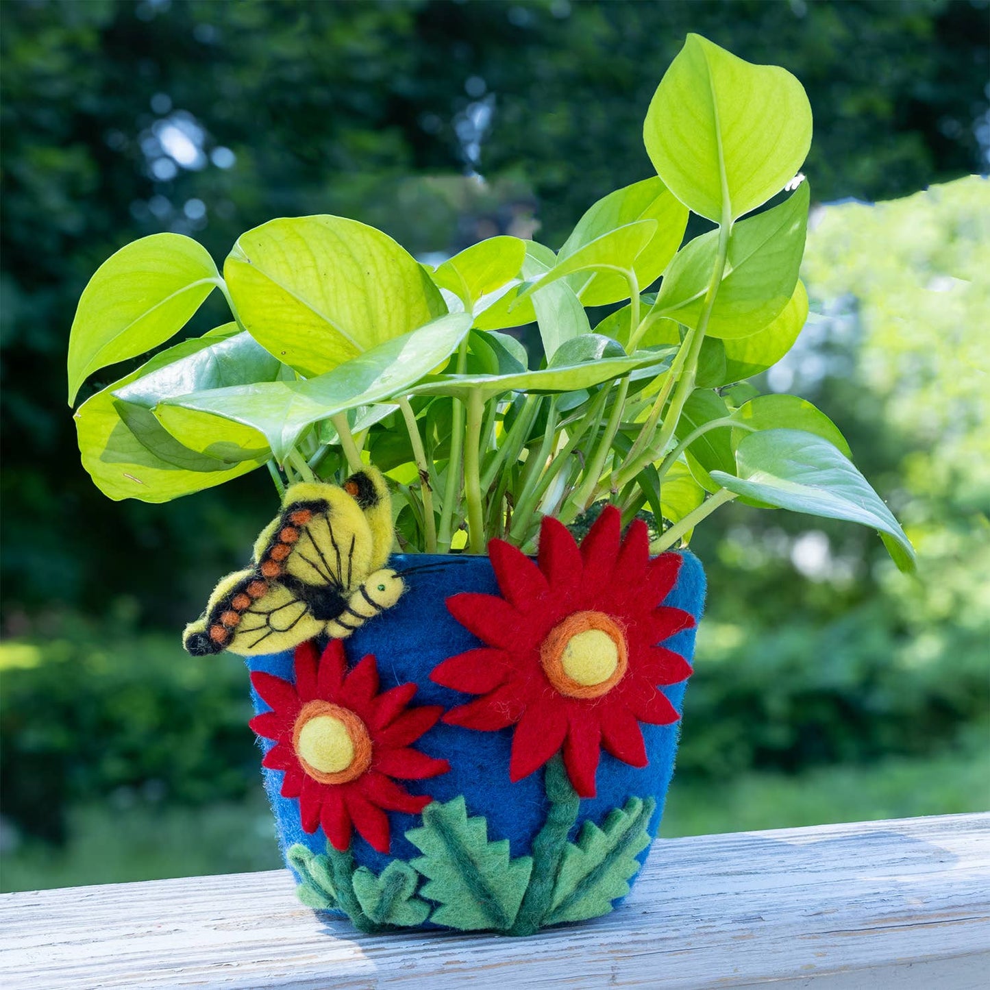 Felt Pot: Cosmos