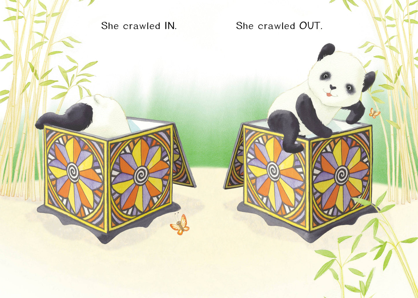 The Magic Box:  A Book of Opposites