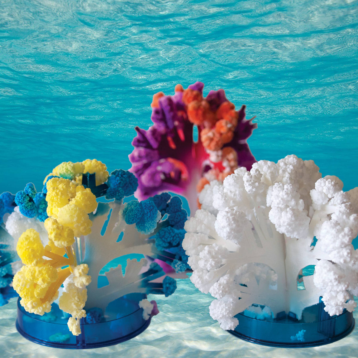 Reef Kit Copernicus Toys - Crystal Growing Coral Reef | Craft Kit Science Kit ...
