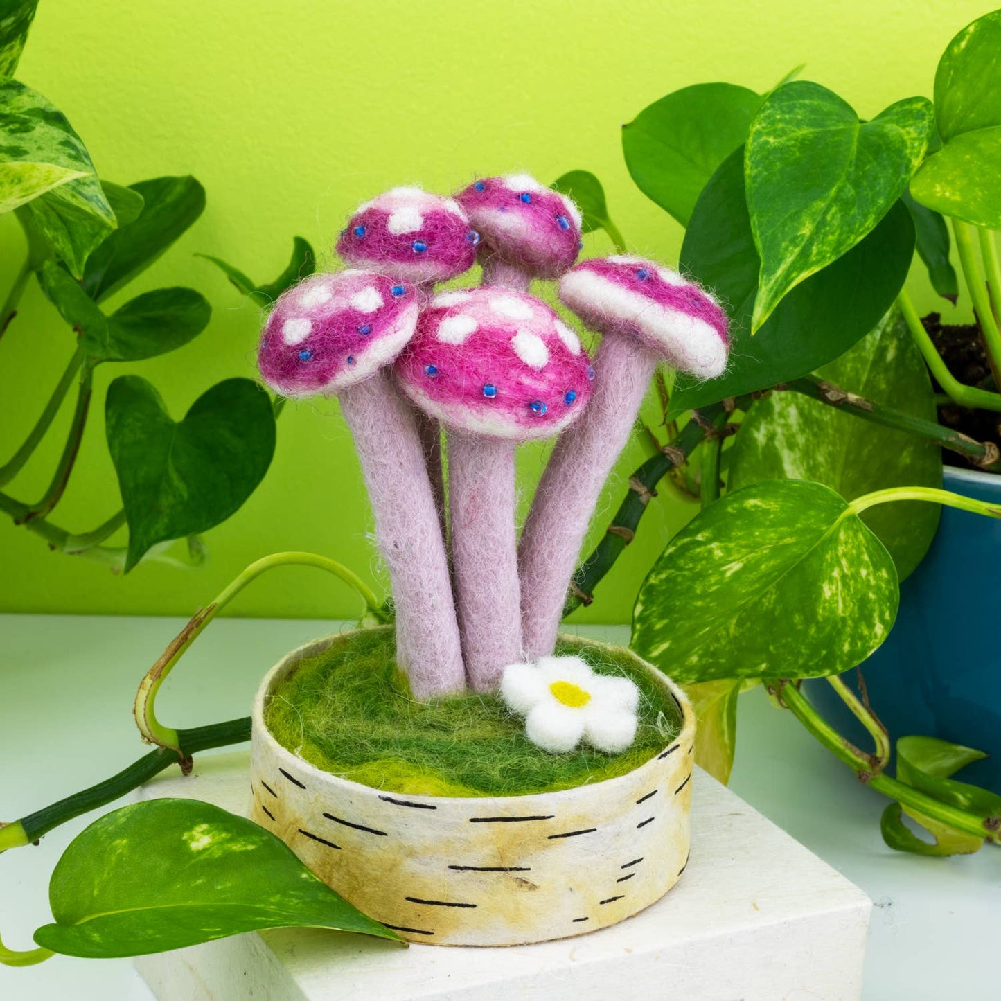 Pink Lady Woodland Mushroom