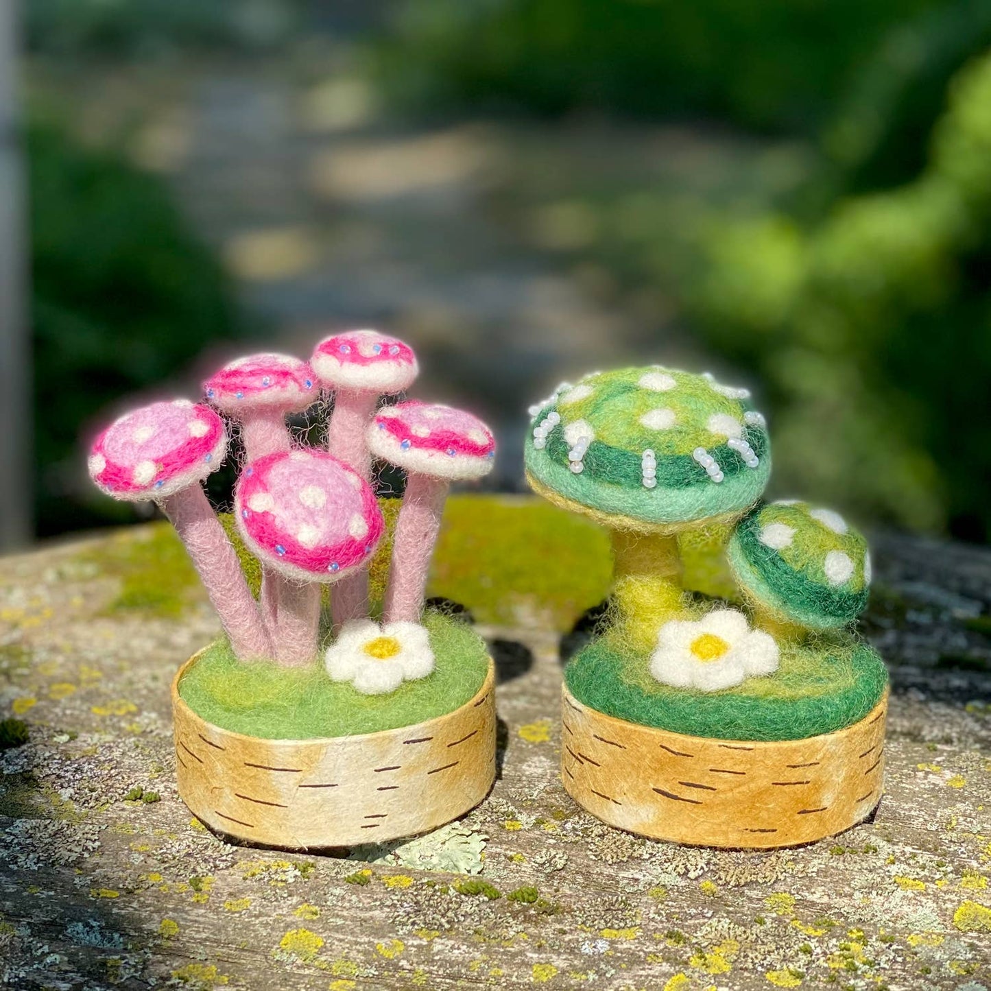 Pink Lady Woodland Mushroom