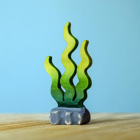 Bumbu Toy Seaweed Sugar Kelp