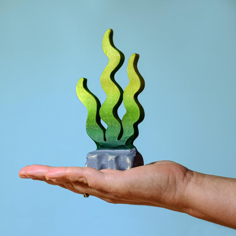 Bumbu Toy Seaweed Sugar Kelp