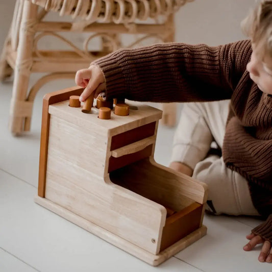 Montessori LARGE Shape and Size Sorting Box